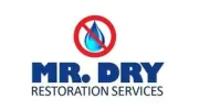 Mr. Dry Services