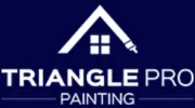 Triangle Pro Painting