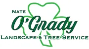 Nate O'Grady