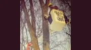Madsaw Tree Service