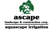 Ascape Landscape
