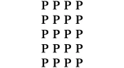 Palace Oriental Rugs