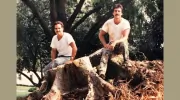 Pioneer Tree Service