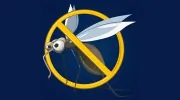 Bugs Bee Gone