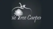 Apple Tree Carpentry