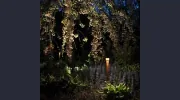 Firefly Landscape Lighting