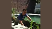 Nantucket Pool & Landscape Service