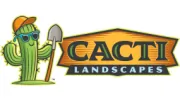 Cacti Landscapes