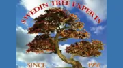 A Swedin Tree Expert
