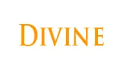 Divine Renovation