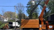 Silva Gardening & Tree Service