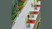 KenCairn Landscape Architecture