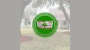 Boni Tree Service & Stump Grinding