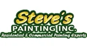 Steve's Painting