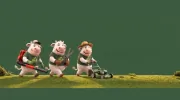 Affordable Landscaping Services