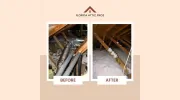 Florida Attic Professionals