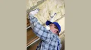 Lady Baltimore Insulation