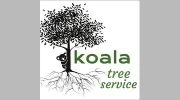 Koala Tree Service