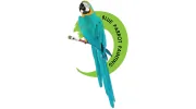 Blue Parrot Painting