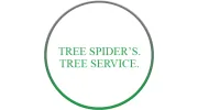 Tree Spider's Tree Service