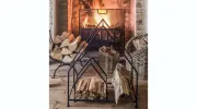 Red River Chimney Service