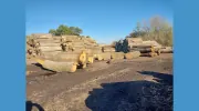 One Family Hardwood