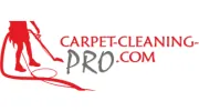 Carpet-Cleaning-Pro