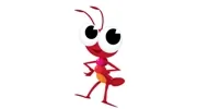 First Florida Termite & Pest