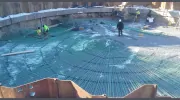 Gallo Construction
