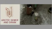 Arctic Sewer & Drain
