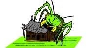 Home Protection Pest Control