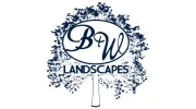 Blue & White Landscapes