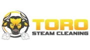 Toro Steam Cleaning