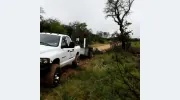 JP's Tree Care Specialist