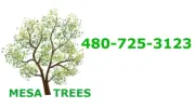 Mesa Trees