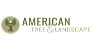 American Tree & Landscape