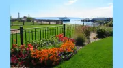 CEDARS of MACKINAC