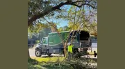 Palmetto Tree Service