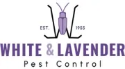 White & Lavender Pest Control