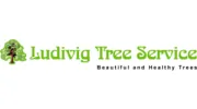 Ludivig Tree Service