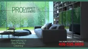 Pro Carpet Cleaners