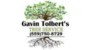 Gavin Tolbert's Tree Service