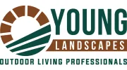 Young Landscapes