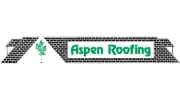 Aspen Roofing