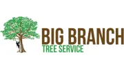 Big Branch Tree Service