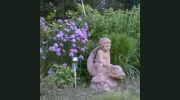 Dave Ryan Landscaping Nantucket