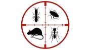 Sniper Services