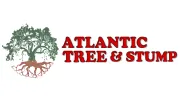Atlantic Tree and Stump