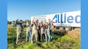 Allied Restoration