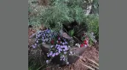 Priority Landscaping